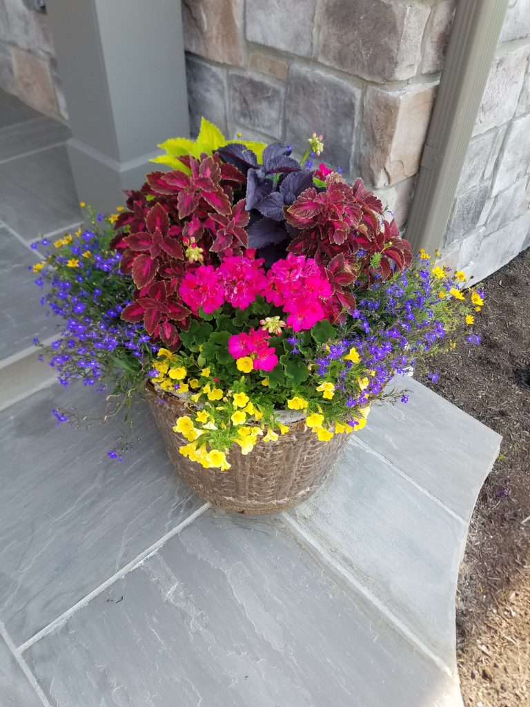 Residential Container Planting
