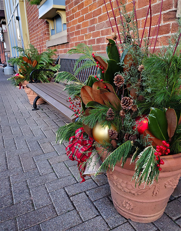 Seasonal Container Planting