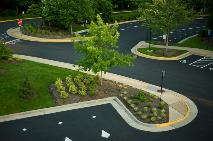 Commercial Landscape Design