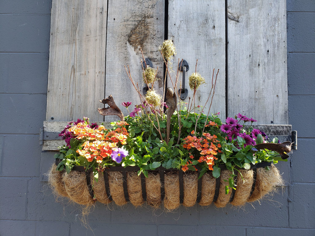 Loveland Event Center Window Box